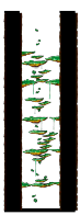 无小地图