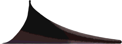 闇黑龍王的尾巴